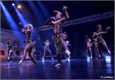 Dance Life Expo Brno