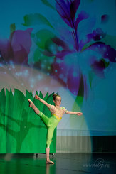 33. koncert souboru