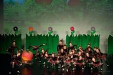 33. koncert souboru