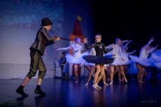 33. koncert souboru