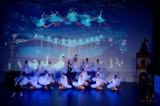 33. koncert souboru